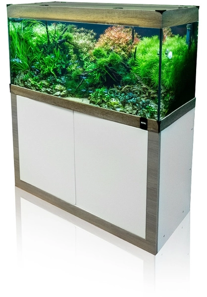 Aquarium set 120x50x57cm 300l with Sinkor LED 70W