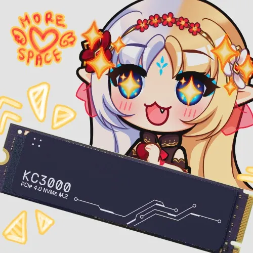 ₊˚ ✧ +2TB of Space (VODs, vids, editing) ✧ ˚₊