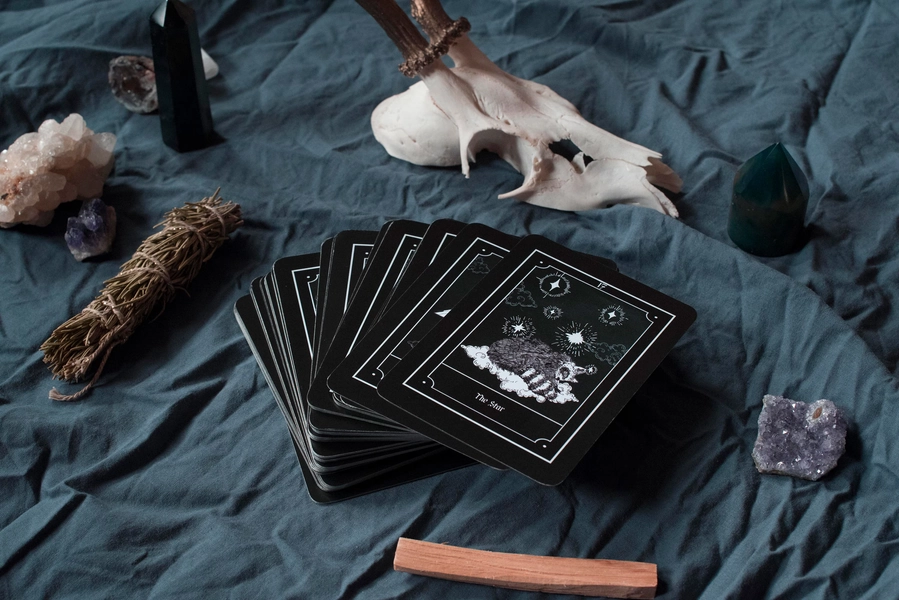 Opossum / Racoon tarot