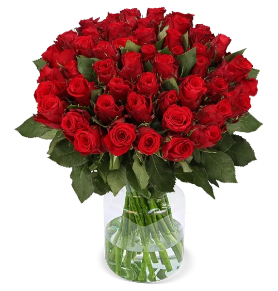 XXL Rosenstrauß mit 50 roten Rosen bestellen | BlumeIdeal.de