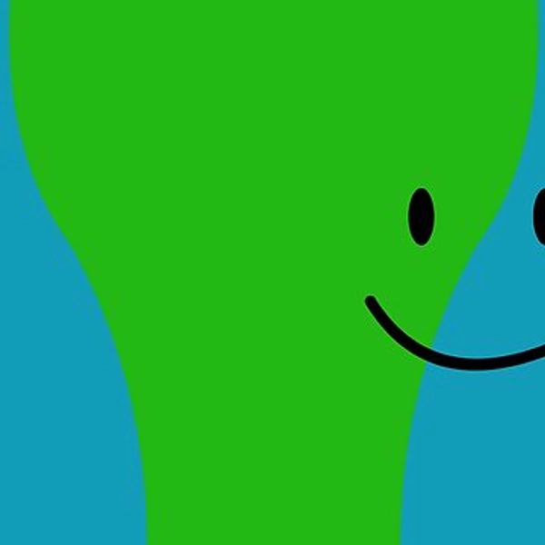 Book Book with Face (BFDI:TPOT)
