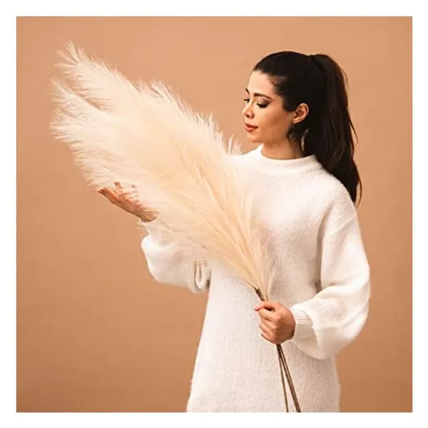 
                            Brooklyn Theory Faux Pampas Grass Tall, 43"/110cm (Cream/Beige Color) 3pc Fake Artificial Pampass Grass Decor, Tall Pampas Grass for Floor Vase, Faux Pompous Grass
                        