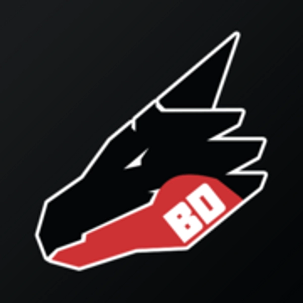 Bad Dragon