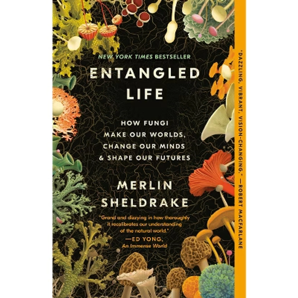 Entangled Life - by  Merlin Sheldrake (Paperback)