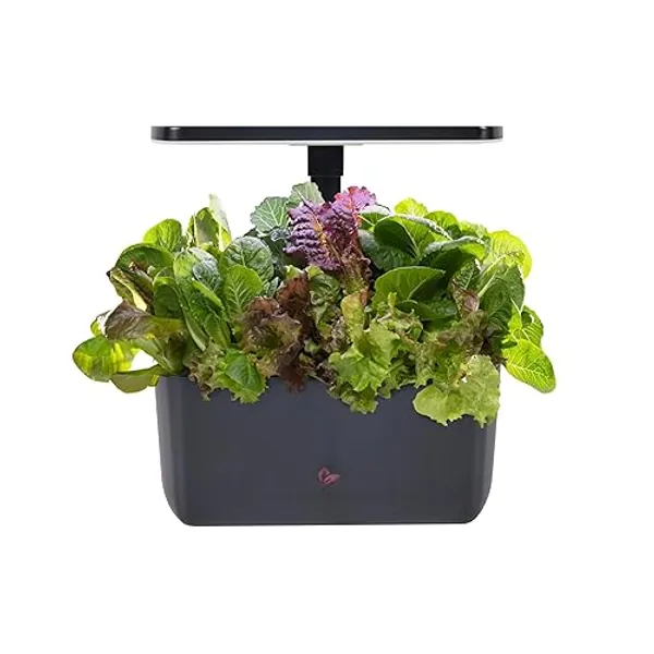 AeroGarden Harvest 2.0, Indoor Garden Hydroponic System with LED Grow Light, Holds up to 6 AeroGarden Pods, Charcoal