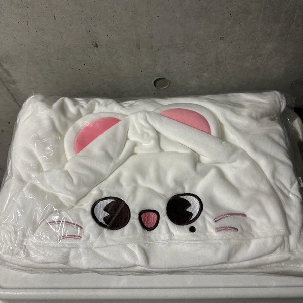 Stray Kids SKZOO Jiniret Blanket 39x27 inch Hyunjin Official Plush Hoodie Ver