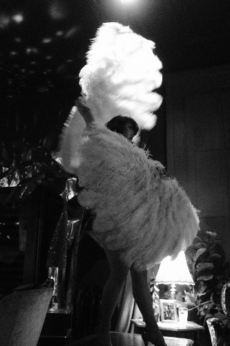 Burlesque feather fans