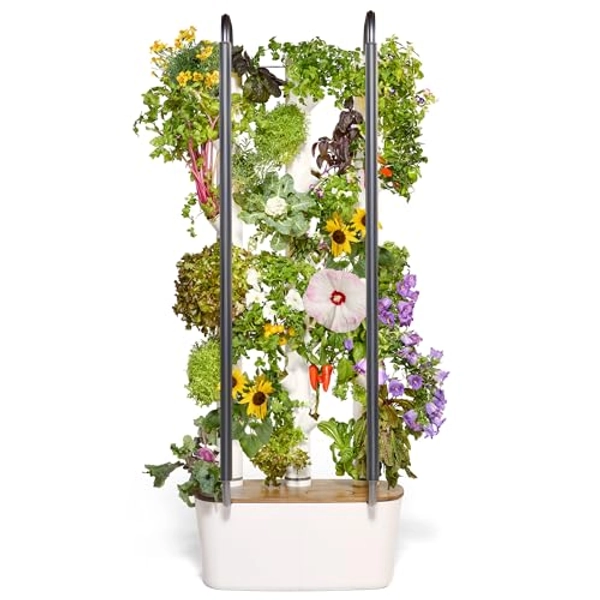 Gardyn Hydroponics Growing System 4.0 & Vertical Garden Planter | Indoor Smart Garden| includes 30 Non-GMO Indoor Plants, Herbs & Vegetables & LED Grow Lights for Your Home Indoor Gardening System