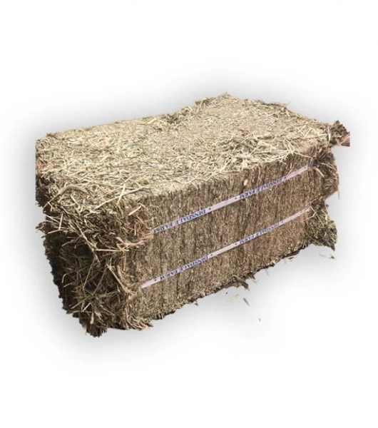 Compressed Timothy Grass Hay Bale - Wilco Farm Stores