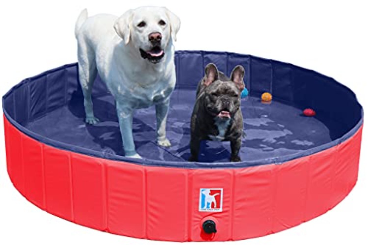 Good Doggo Shop Foldable Dog Pool - Rugged Pool for Kids and Pets - Pet Bath - Kiddie Pool - Backyard Pool (Large Breed, Red) - Large Breed - Red