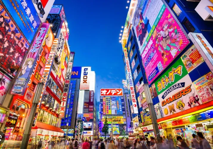 Pay for my flight to Japan