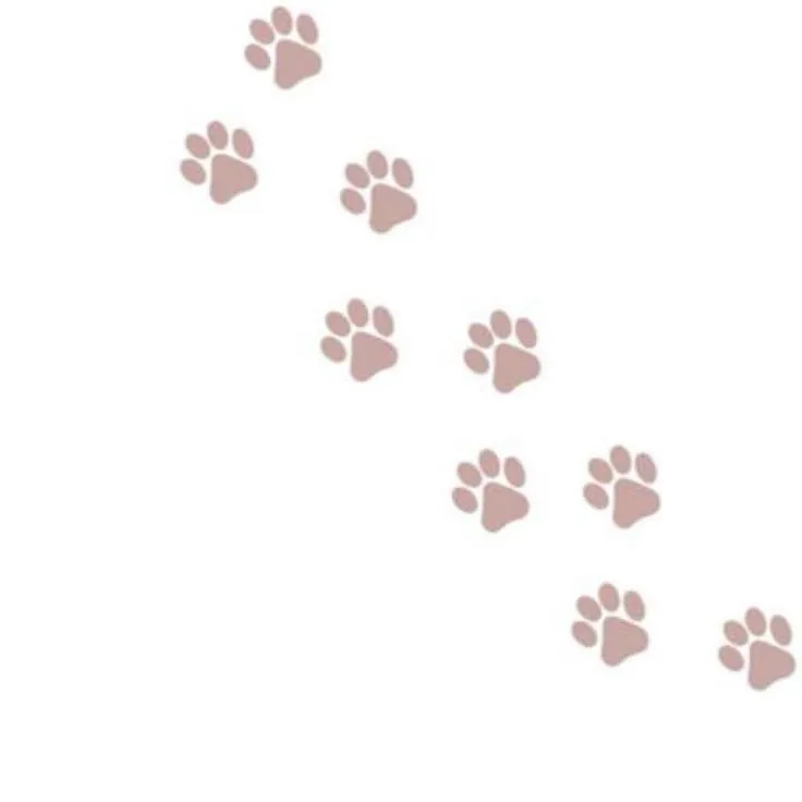 bigger treat :33 !! 𐔌՞. .՞𐦯