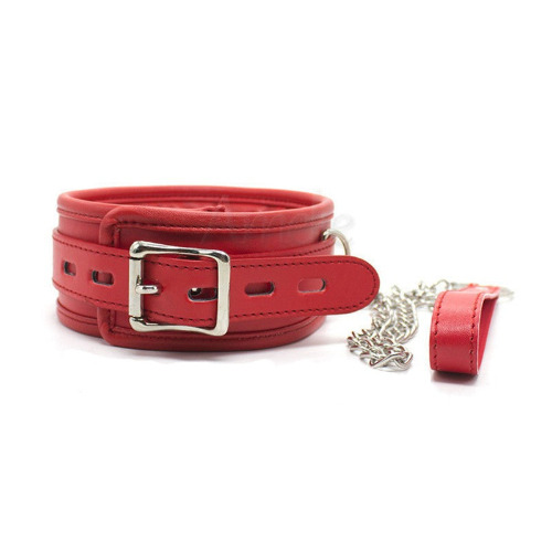 Dog Leash - Red