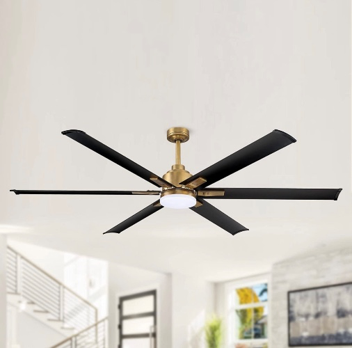 Ceiling Fan for Living Room