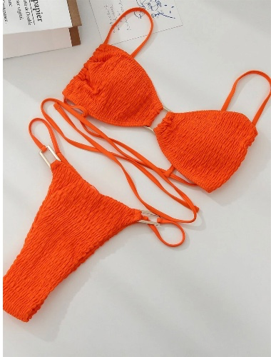Smocked Bikini Set Ring Linked Wireless Bra Top & Thong 2 Piece Swimsuit | SHEIN USA