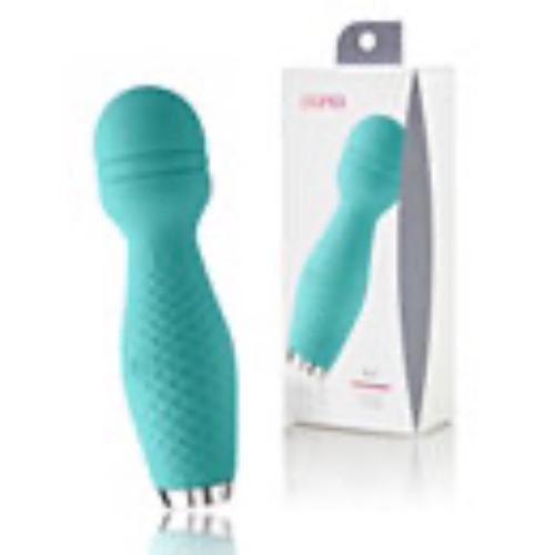 Flirt 8-Function Rechargeable Waterproof Massager 4.8 Inch – Oona - Spencer's