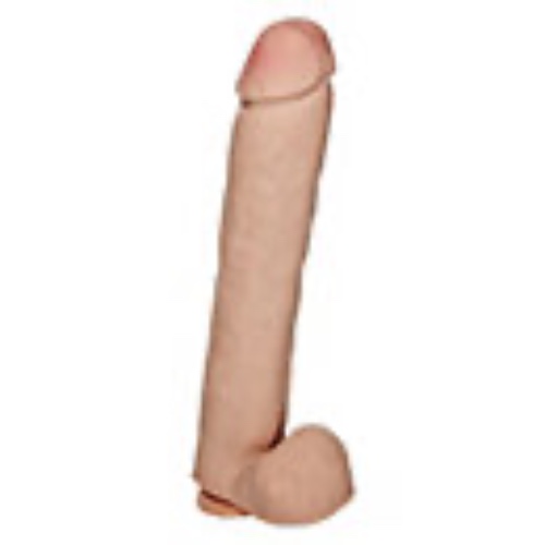 Suction Cup Dildo - 14 Inch - Spencer's