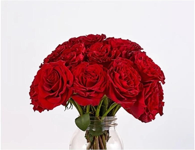 The Bouqs Co. 24 Premium Red Heart Roses - Red My Mind (DashMart) Delivery - DoorDash