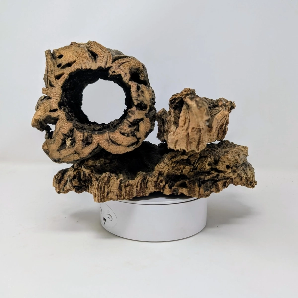 Assorted Cork Bark Flats, Rounds & Half Rounds for Orchids, Airplants, Reptiles + Terrariums – Natural, Eco-Friendly, Versatile Décor