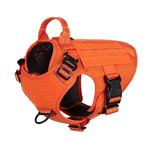ICEFANG Tactical Dog Harness,2X Metal Buckle,Working Dog MOLLE Vest with Handle,No Pulling Front Leash Clip,Hook and Loop Panel (Medium (Pack of 1), Reflective Orange) - Medium (Pack of 1) - Reflective Orange