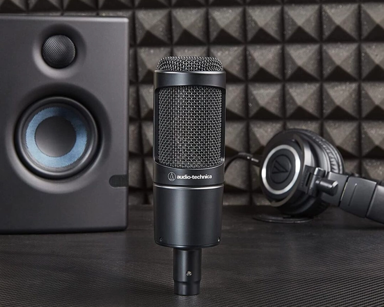 Cardioid Condenser Microphone