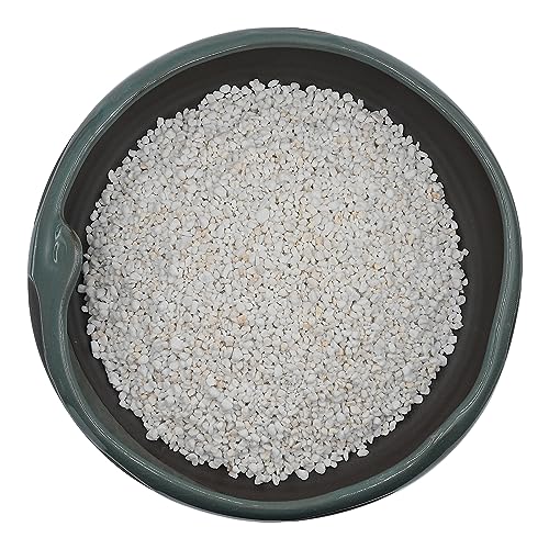 10QT Horticultural Perlite Bulk, Organic Perlite for Plants, Course Perlite for Gardening, for Plants Indoor, for Houseplants, to Promotes Soil Root Growth, and Water Drainage and Plant Growth(3-6mm) - 10QT 3-6mm - Organic Perlite