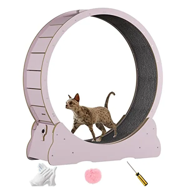Katzenlaufrad aus Massivholz, Laufrad Katze 100cm Innendurchmesser, Cat Wheel für gesunde Bewegung und Entspannung. (Rosa)