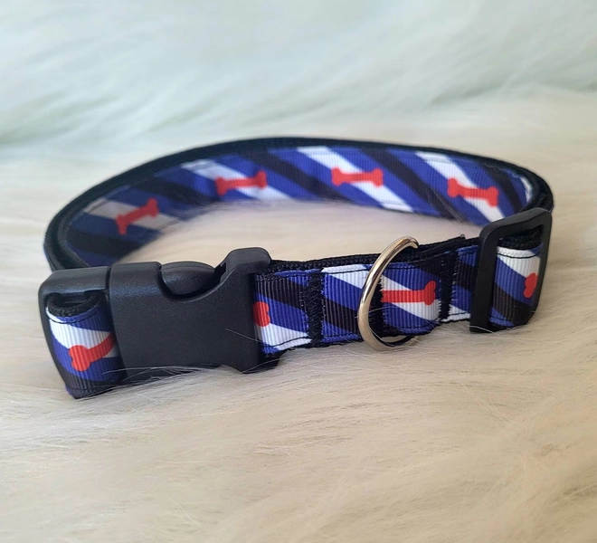 Puppy pride flag | pup cosplay choker | Adjustable pride collar