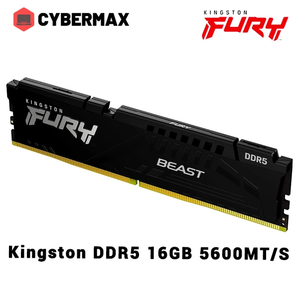 Kingston Fury Beast DDR5 RAM Desktop 8GB 16GB 4800MT/S 5600MT/S PC Gaming Memory