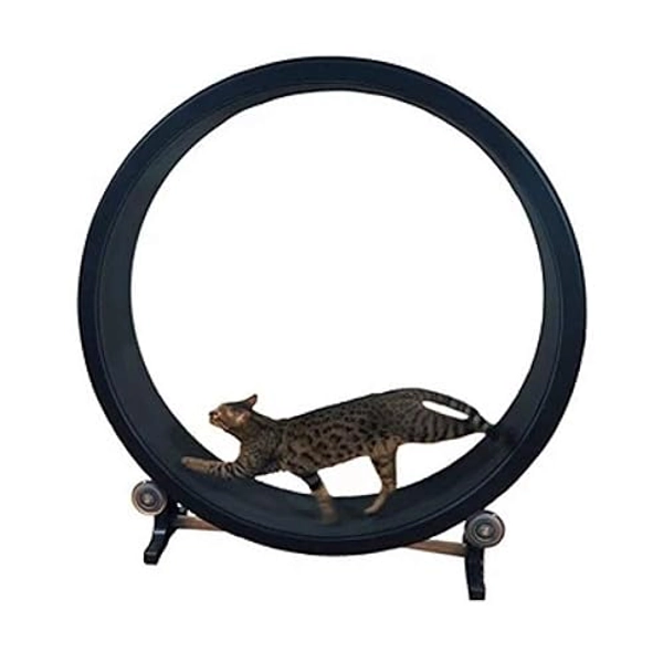 Cat Exercise Wheel Cat Climbing Frame Cat Toy Cat Litter Cat Furniture Roller Cat Treadmill Cat Running Wheel Diameter 1.2 Meters