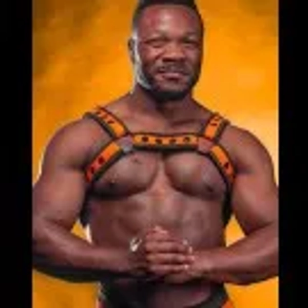 Neo Bold Color Bulldog - 15 Colors