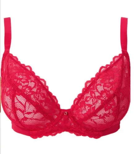Sexy Lace Fuller Bust Non Padded Plunge Bra
