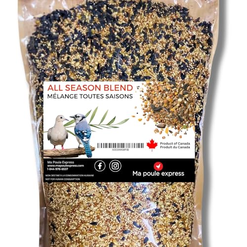 Ma Poule Express All Season Wild Bird Food Blend, Wild Bird Seed Mix, 3.18KG (7lbs) Bag