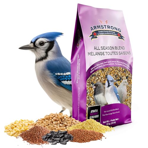 Armstrong Feather Treat All Season Blend 15kg, Large 1 Piece