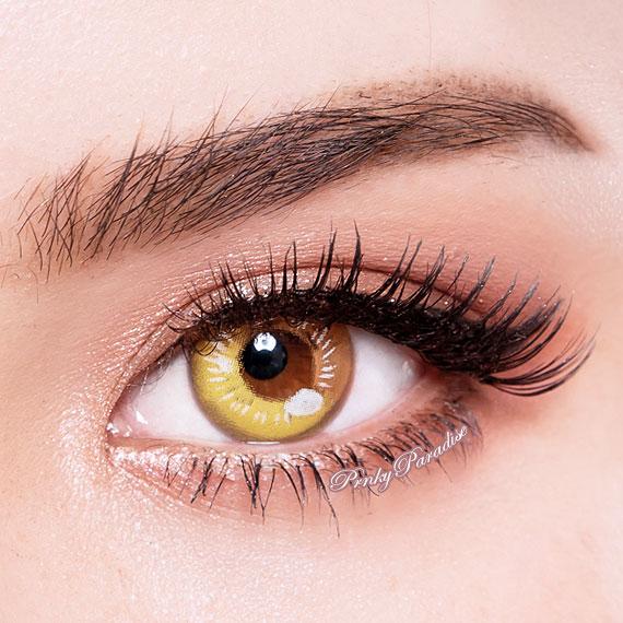 C2 Contacts