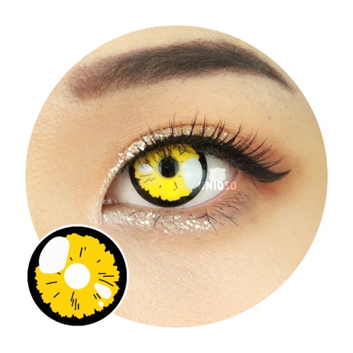 Sae Nijima Contacts