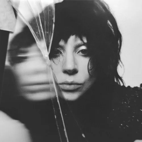 Lady Gaga Mayhem vinyl 