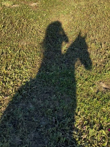 Monthly feeding for my beloved horse🐴🍎