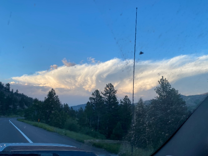 Tank of Diesel⛽️