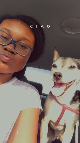 Doggy Bath and Groom