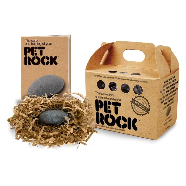 a pet rock
