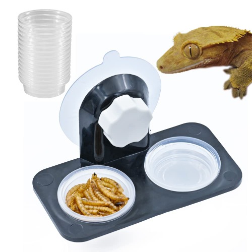 MRTIOO Enhanced Crested Gecko Feeding Ledge, Reptile Food Bowls and Water Dish for Lizard Or Other Small Pet Amphibian Feeder Ledge Accessories Supplies, with 20 pcs 0.5oz Food Cups - Ledge+20cups