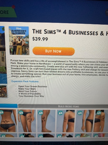 Sims Expansion Packs