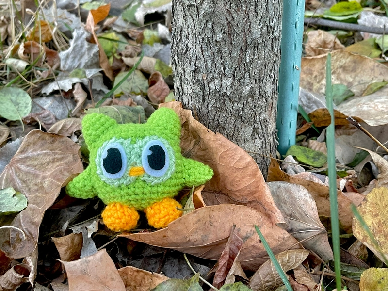 Duolingo Owl Crochet Pattern
