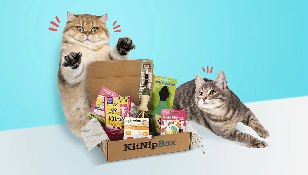 1 mo cat subscription box of cat toys, cat treats, and cat gifts | KitNipBox