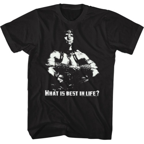Conan Barbarian Destroyer Arnold Best in Life Crush Enemies Adult T-Shirt Tee
