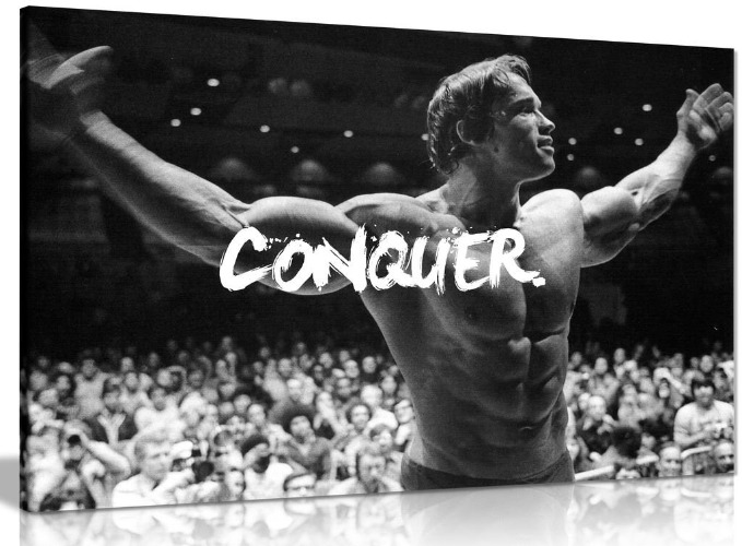 Panther Print, Large Canvas Wall Art, Beautiful Living Room Framed Art, Quality Picture Prints for Walls, Motivational Design, Arnold Schwarzenegger Conquer, Print for Special Occasions (76x51cm)