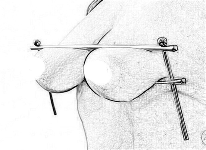 Nipple Clip,Nipple Clamps for Women Adjustable Clip On Nipple Rings SM Toys Breast Stimulation Toys Sex Pleasure Toy