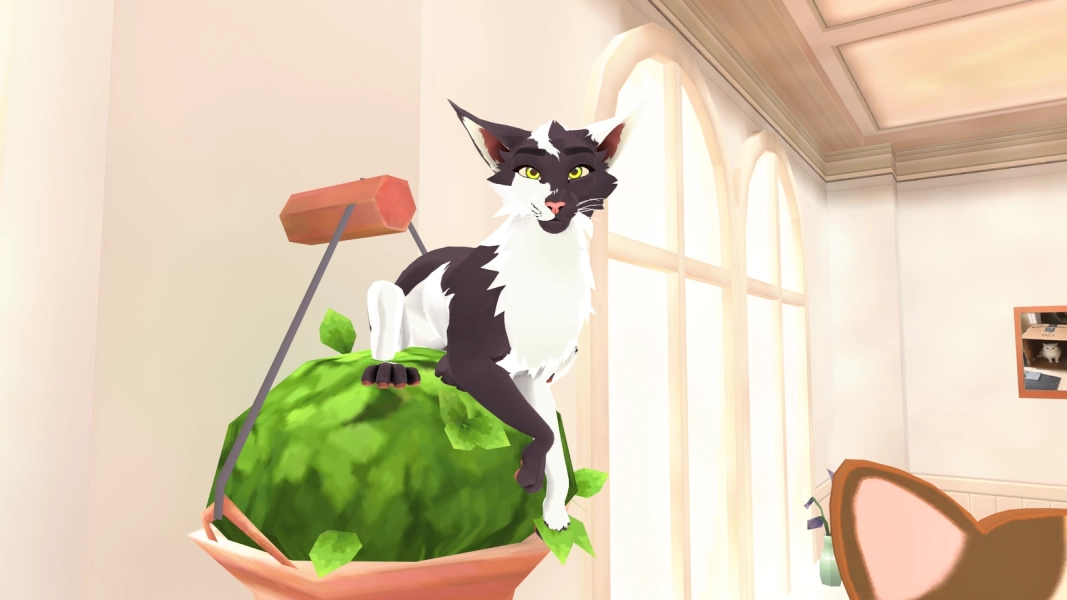 DovaCat by xTosca on Jinxxy