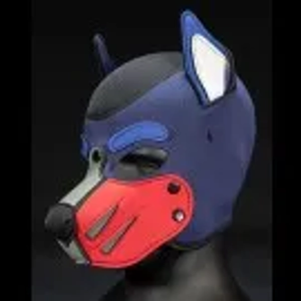Neoprene Mutt Hood: Build Your Own